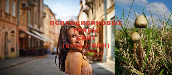 дмт Рославль