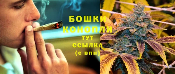 стаф Баксан