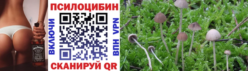 Галлюциногенные грибы Magic Shrooms  даркнет сайт  мега   Ковылкино 